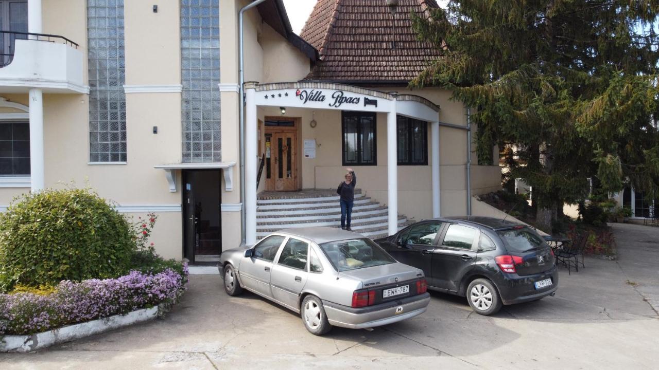 B&B Villa Pipacs Feketić Buitenkant foto