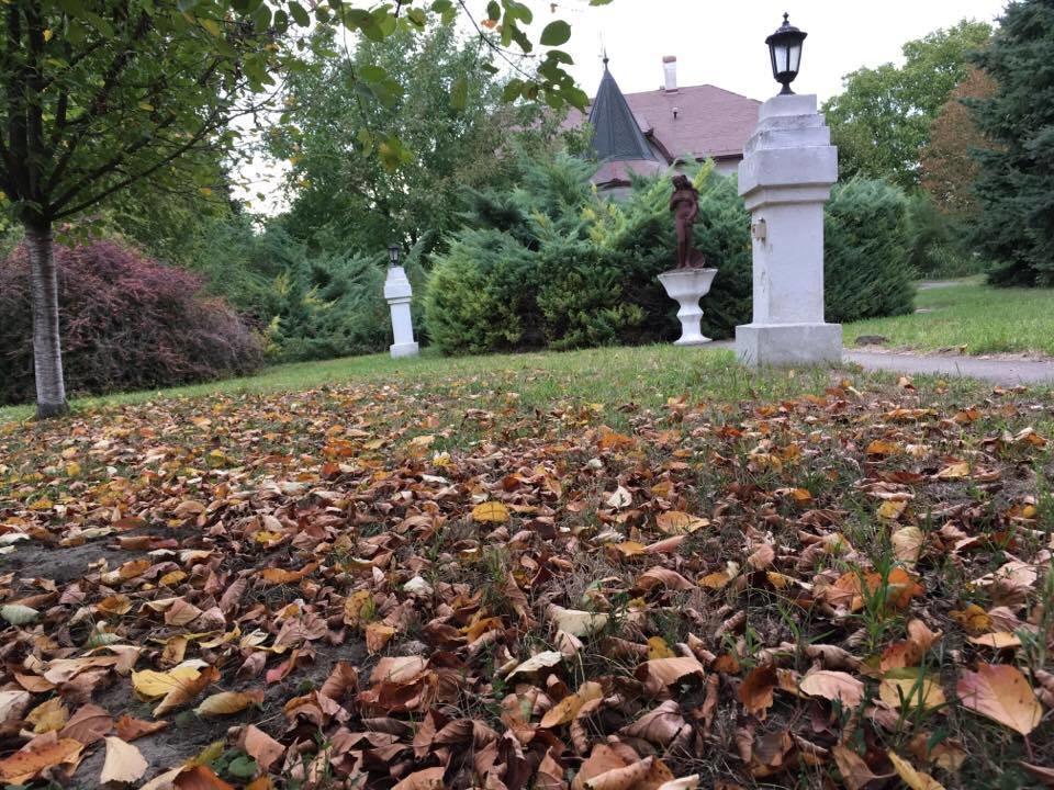 B&B Villa Pipacs Feketić Buitenkant foto