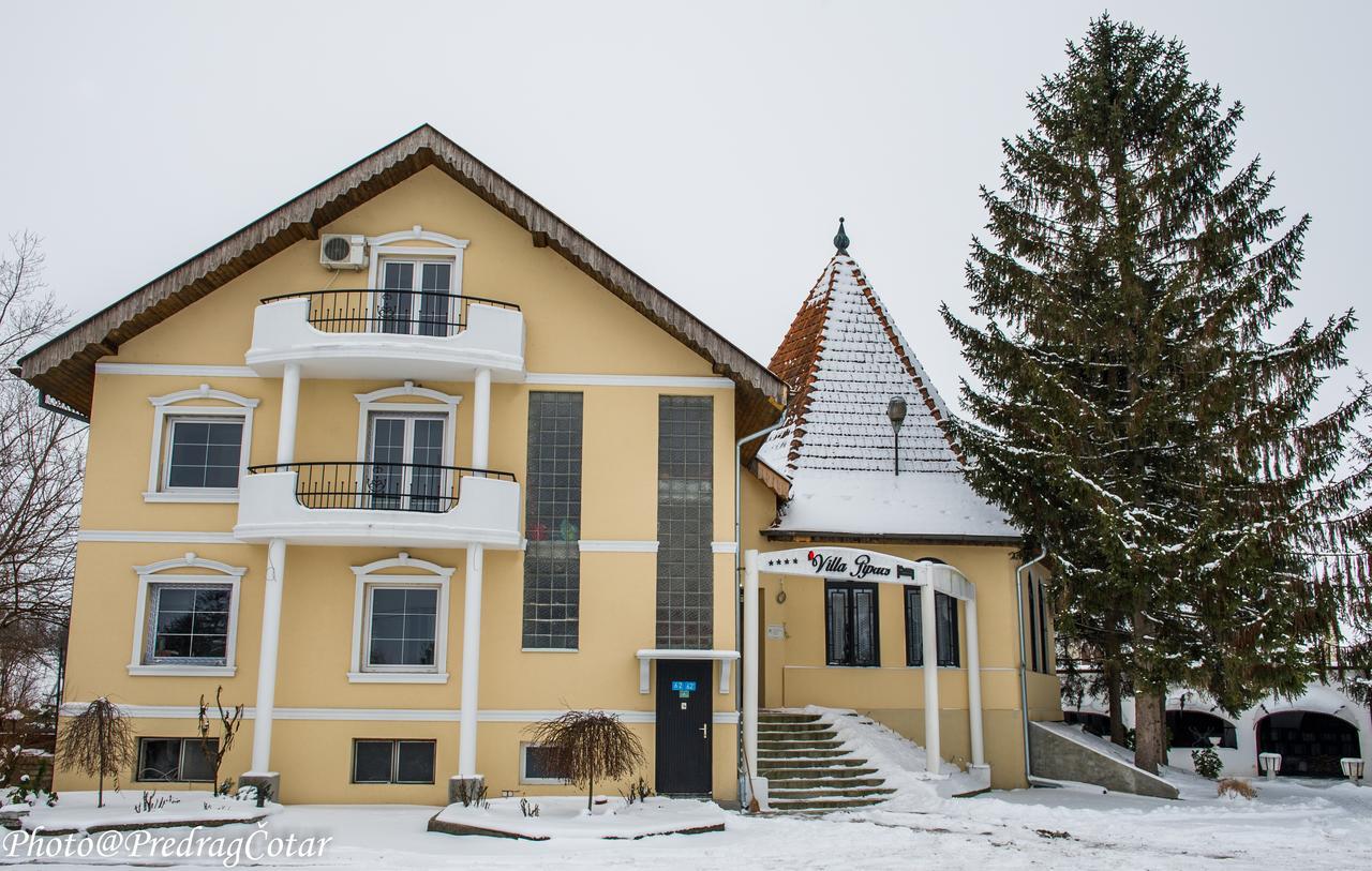B&B Villa Pipacs Feketić Buitenkant foto